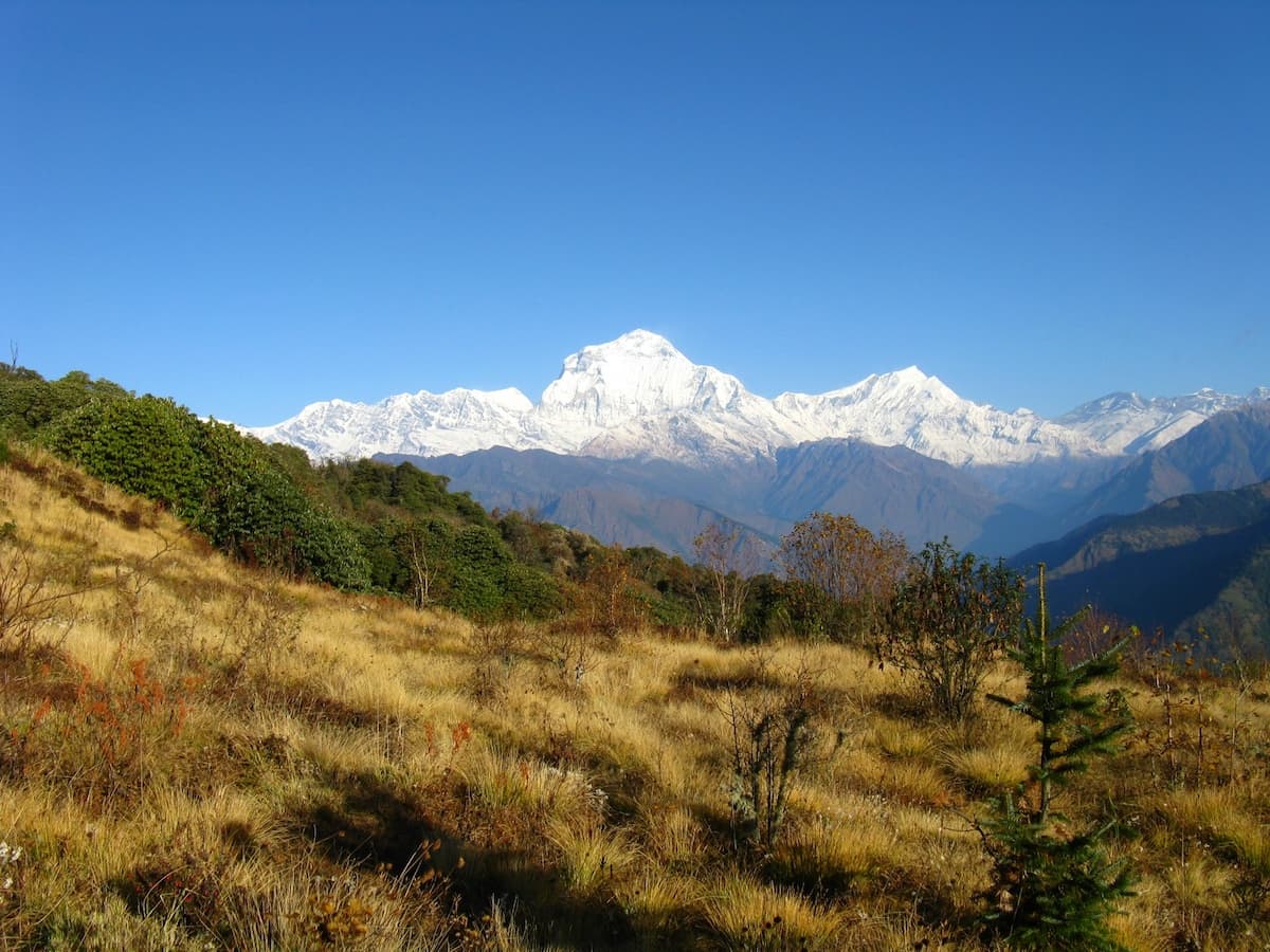 Ghorepani Poon Hill Trek view 2