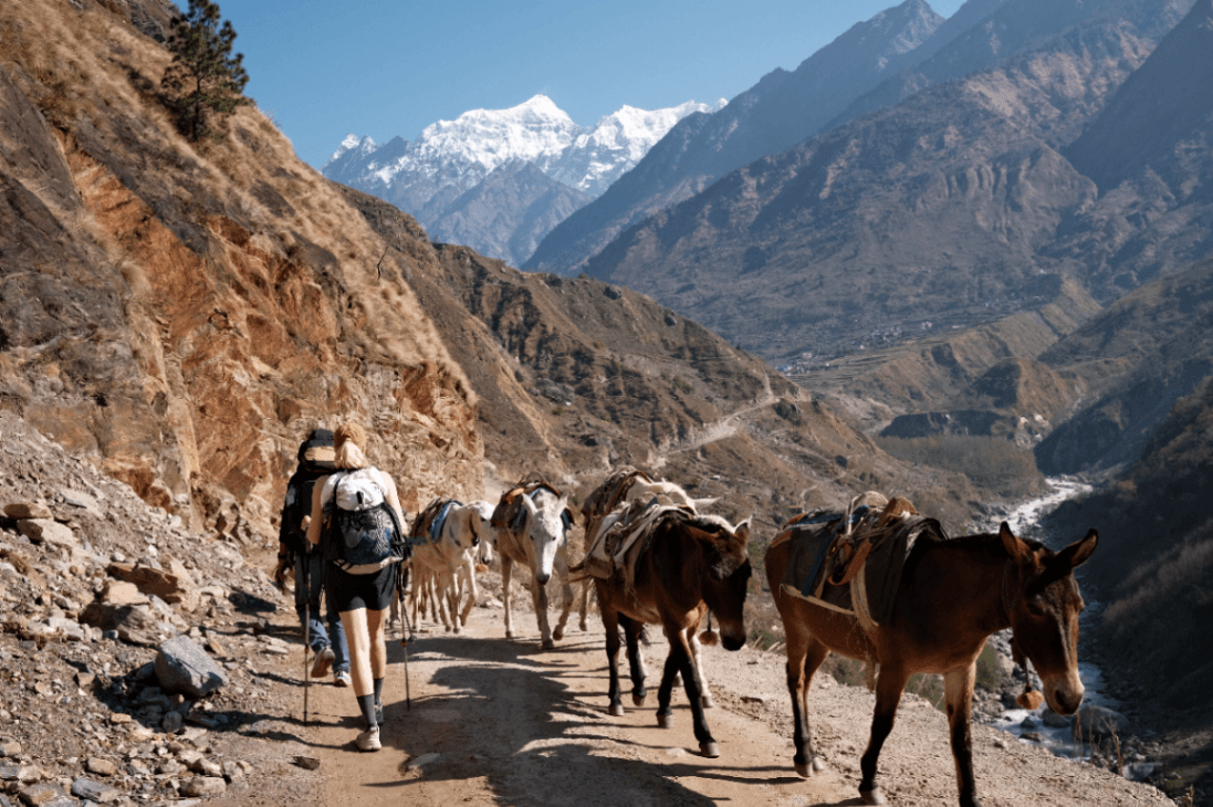 Manaslu Circuit Trek view 2