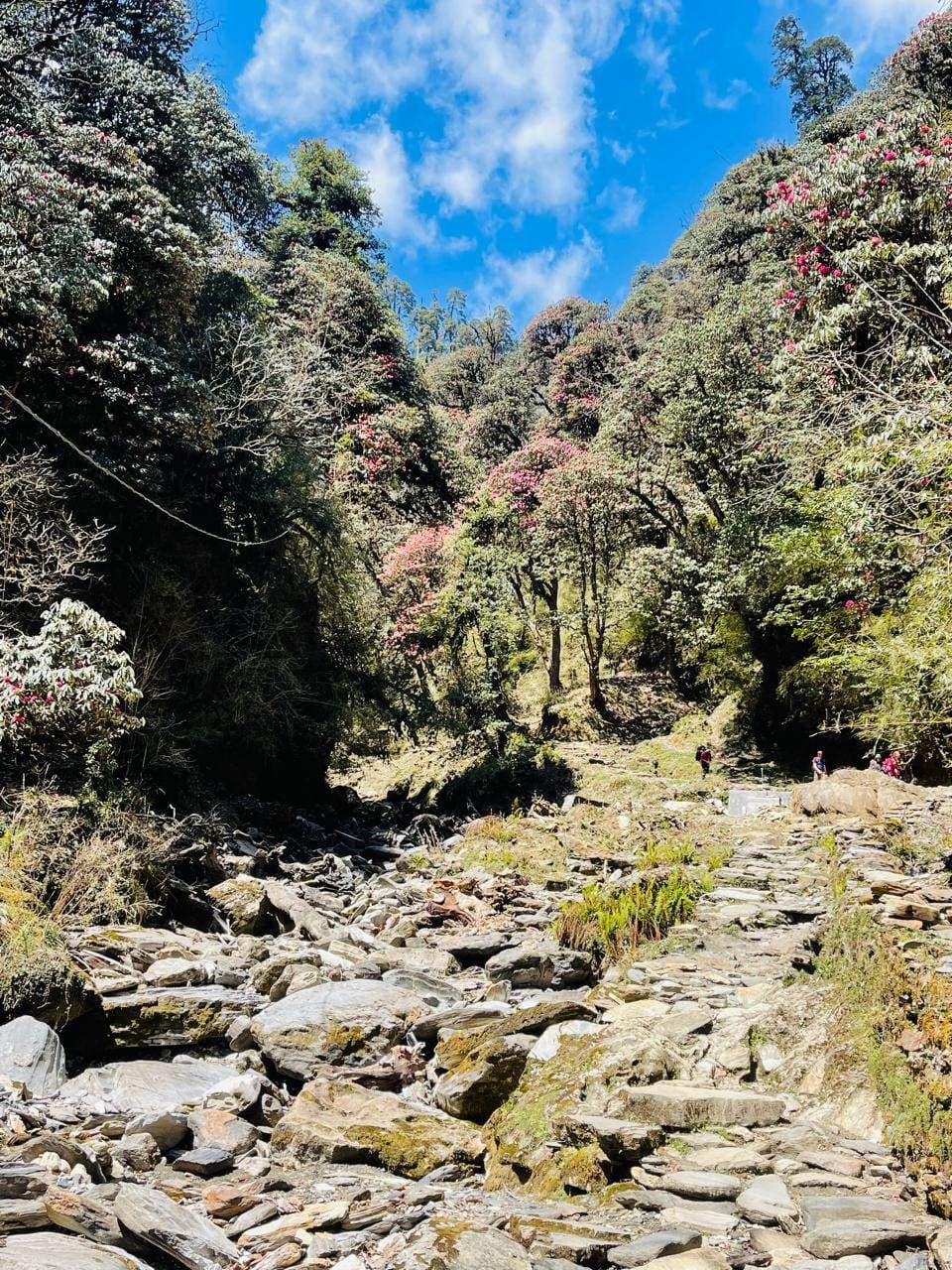 Ghorepani Poon Hill Trek view 3