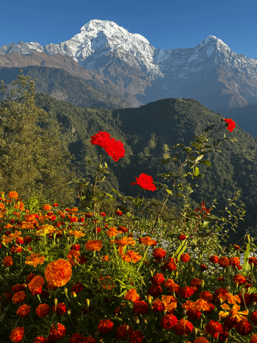 Annapurna Foothills Trek view 2